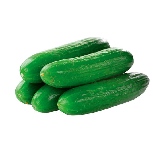 Ogórek szklarniowy. /kg