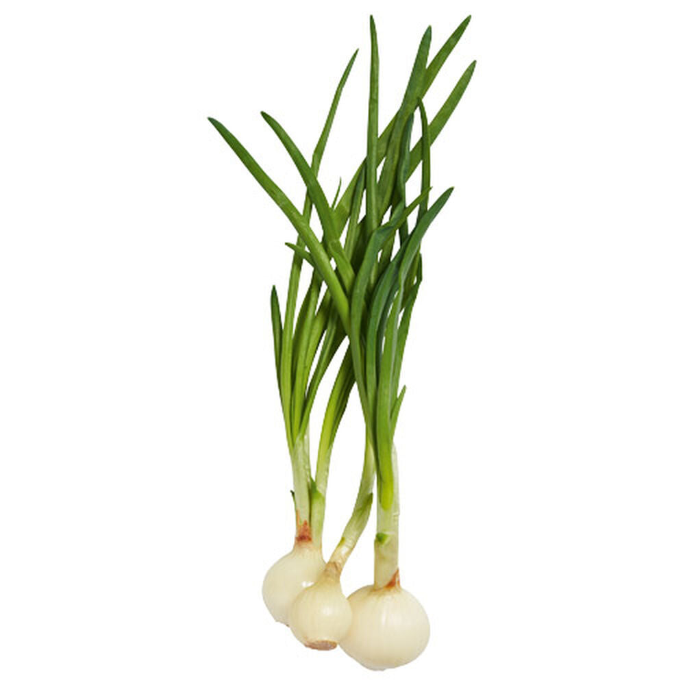 Cebula dymka 1 pęczek. /szt.