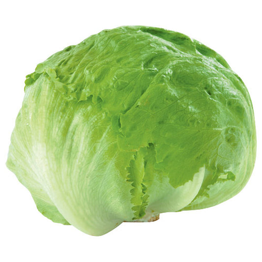 Sałata lodowa 1 szt.. /szt.